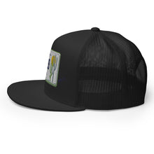 Load image into Gallery viewer, Arizona License Plate Hat