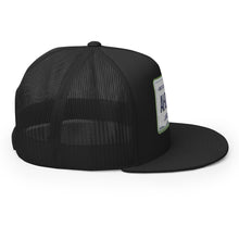 Load image into Gallery viewer, Arizona License Plate Hat