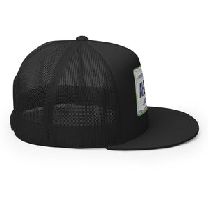 Arizona License Plate Hat