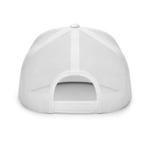 Arizona License Plate Hat