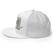 Load image into Gallery viewer, Arizona License Plate Hat