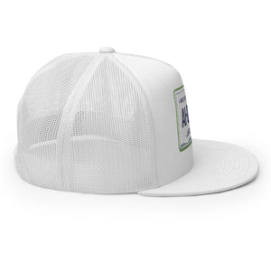 Arizona License Plate Hat
